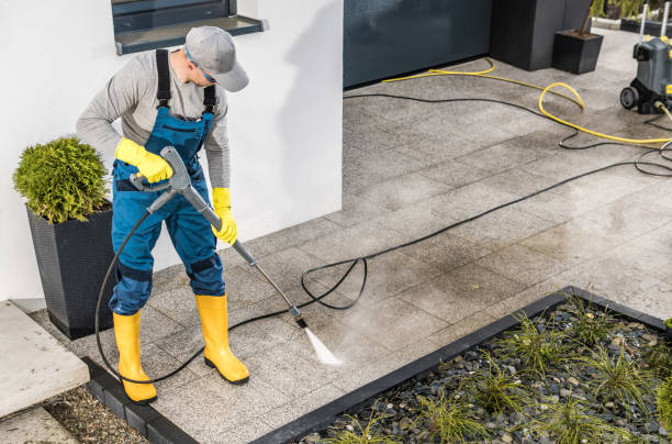 Best Roof Pressure Washing  in Fenton, MO